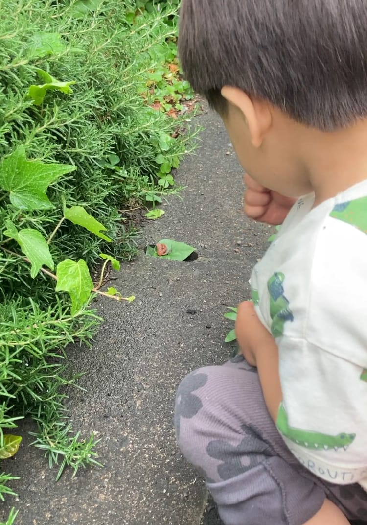 言葉を拒むGreen＆Green＆Green