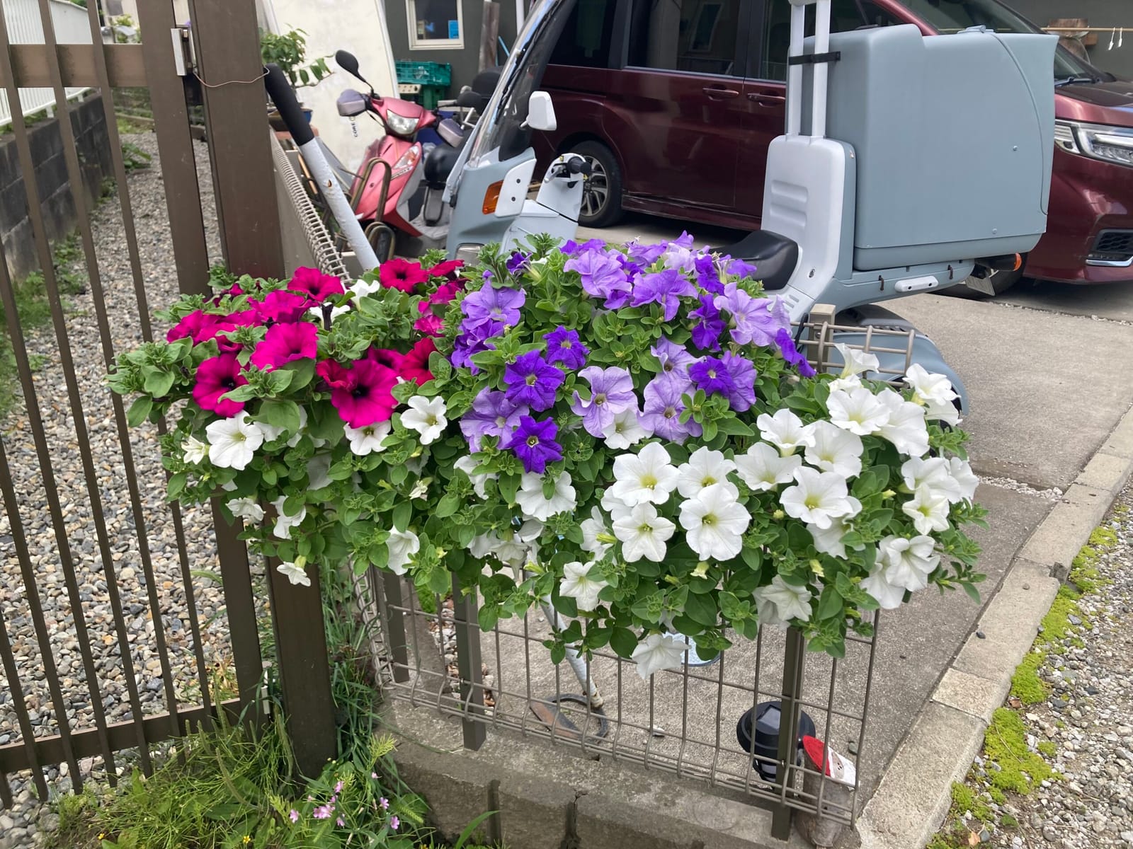 お大事に