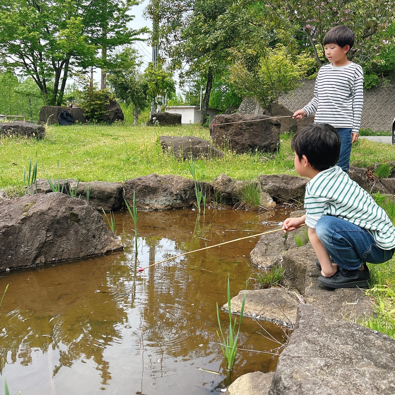 ザリガニ釣り