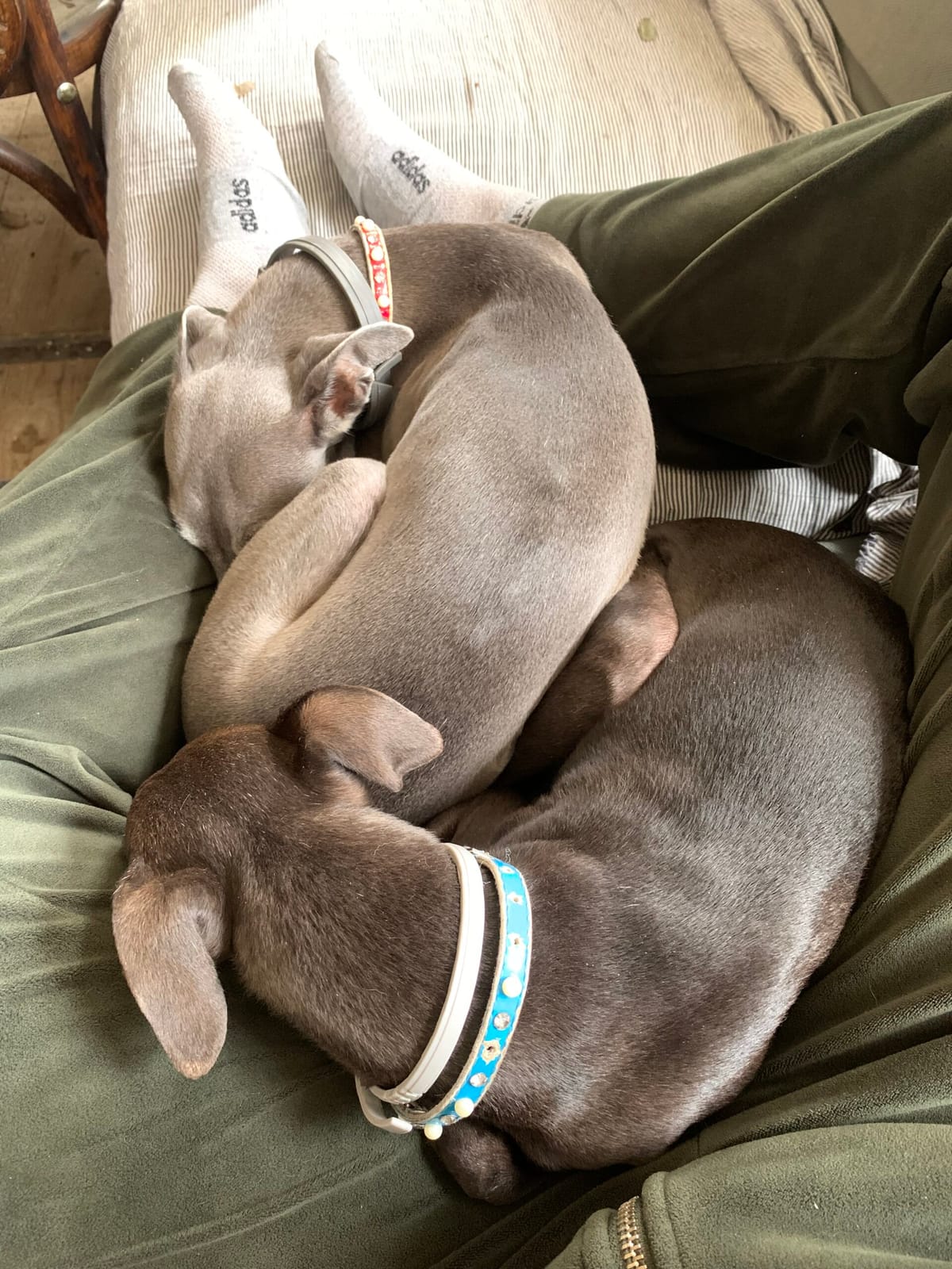 FIN DE VACACIONES