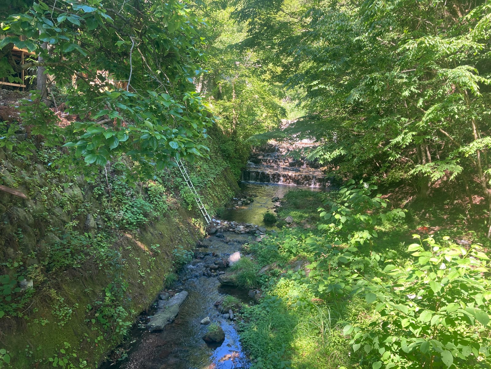 川由来の涼