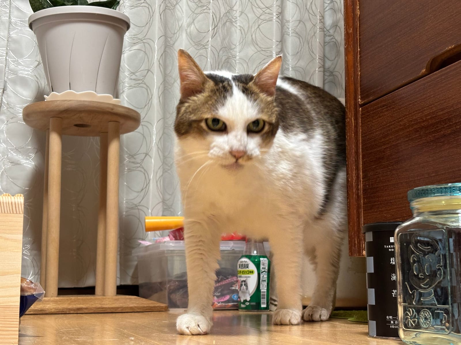 1日の終わりに