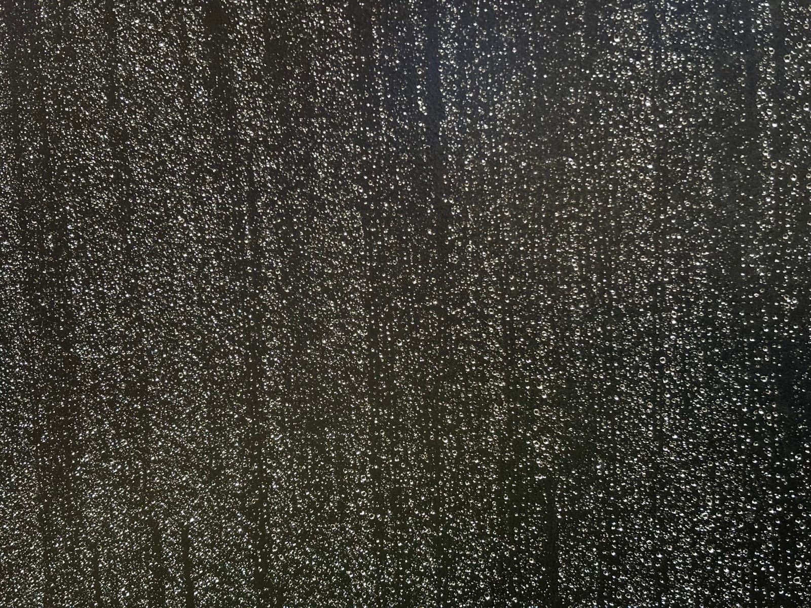 雨のひどい日