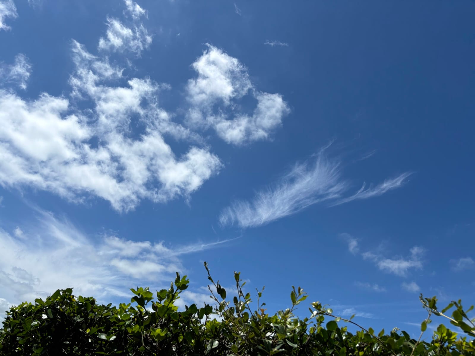 青空の下に並ぶ靴