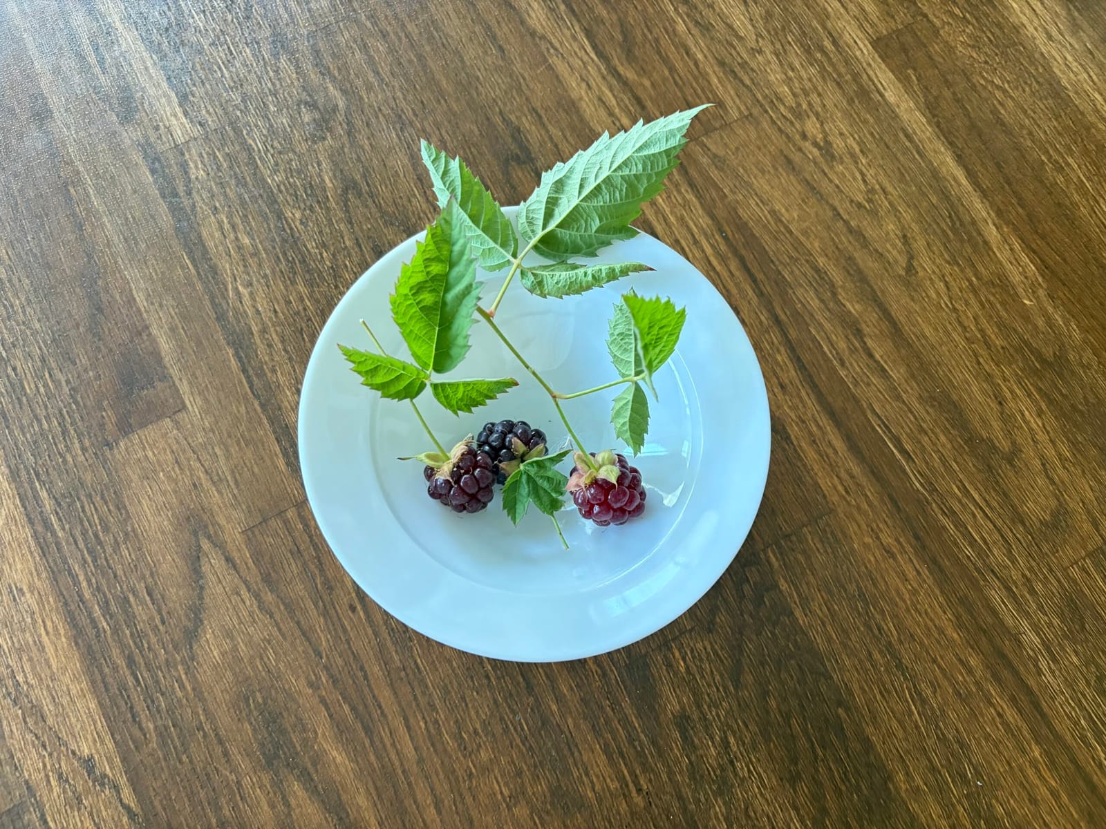 ペンキ塗り
