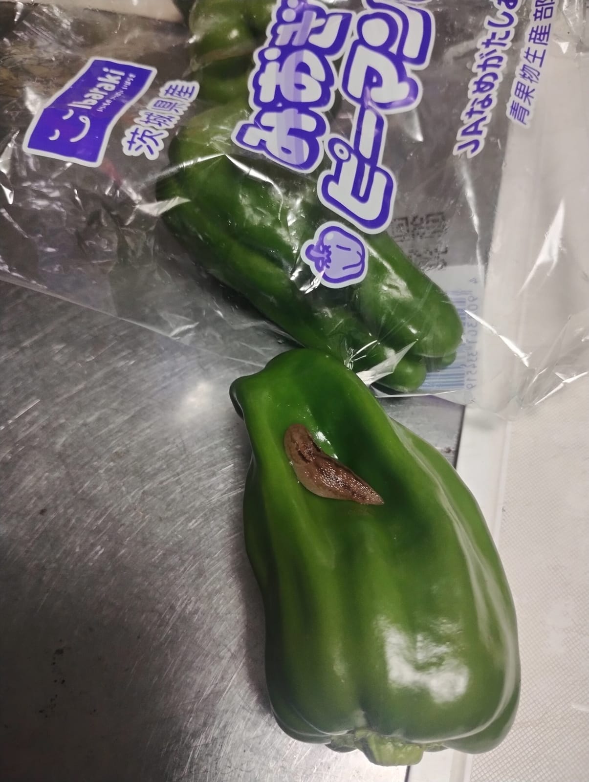 泣きっ面にナメクジ
