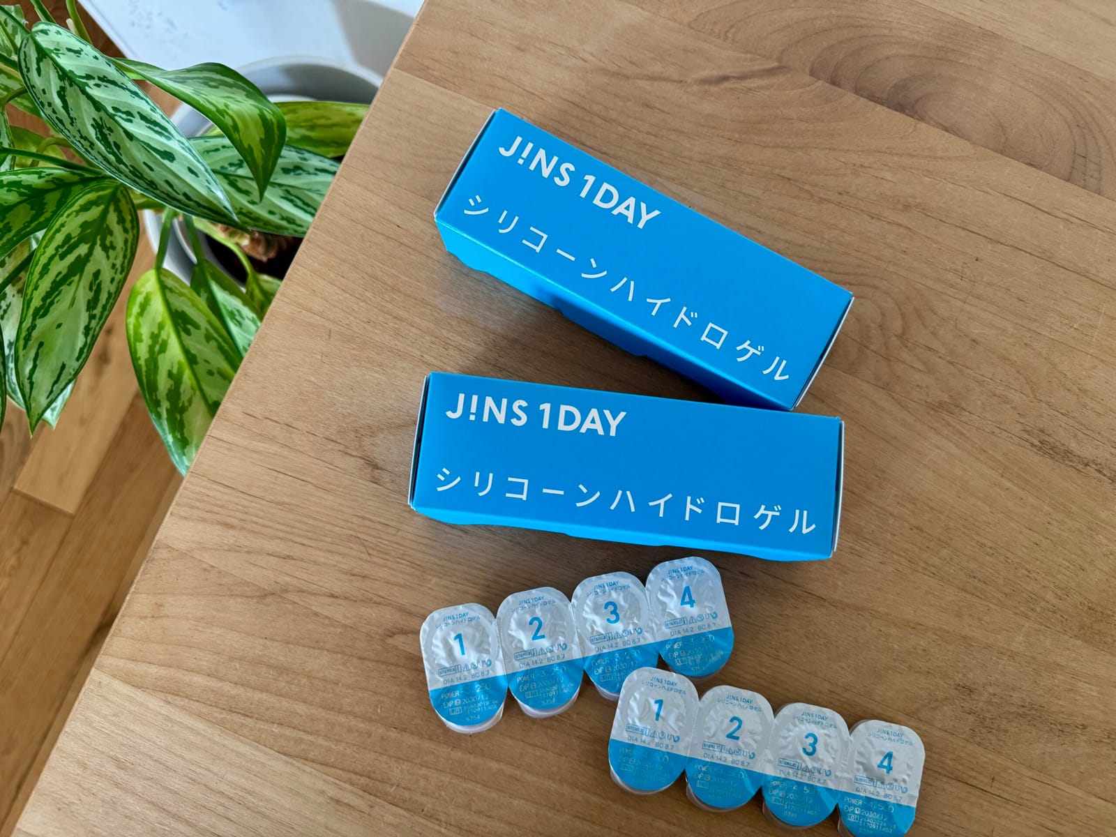 大人になって最もゆるい時間
