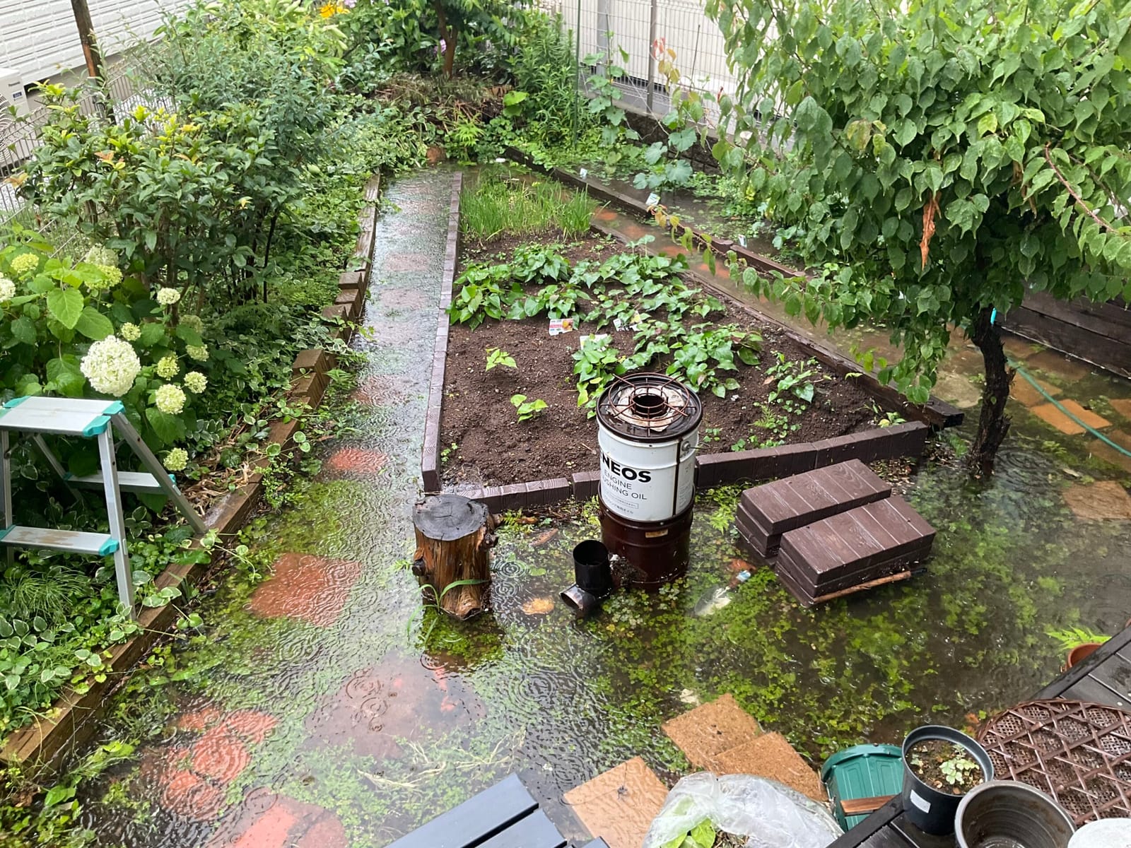 台風と人事