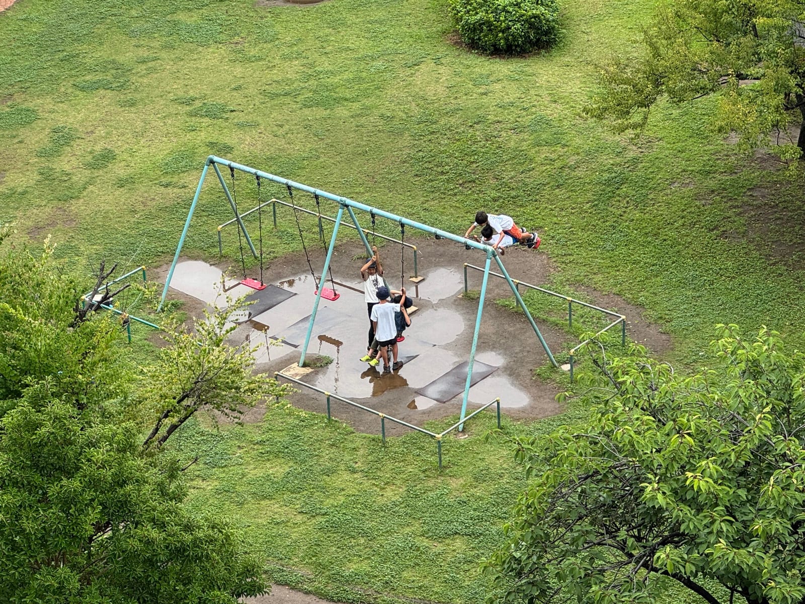 夏の予定が立たないのよ〜