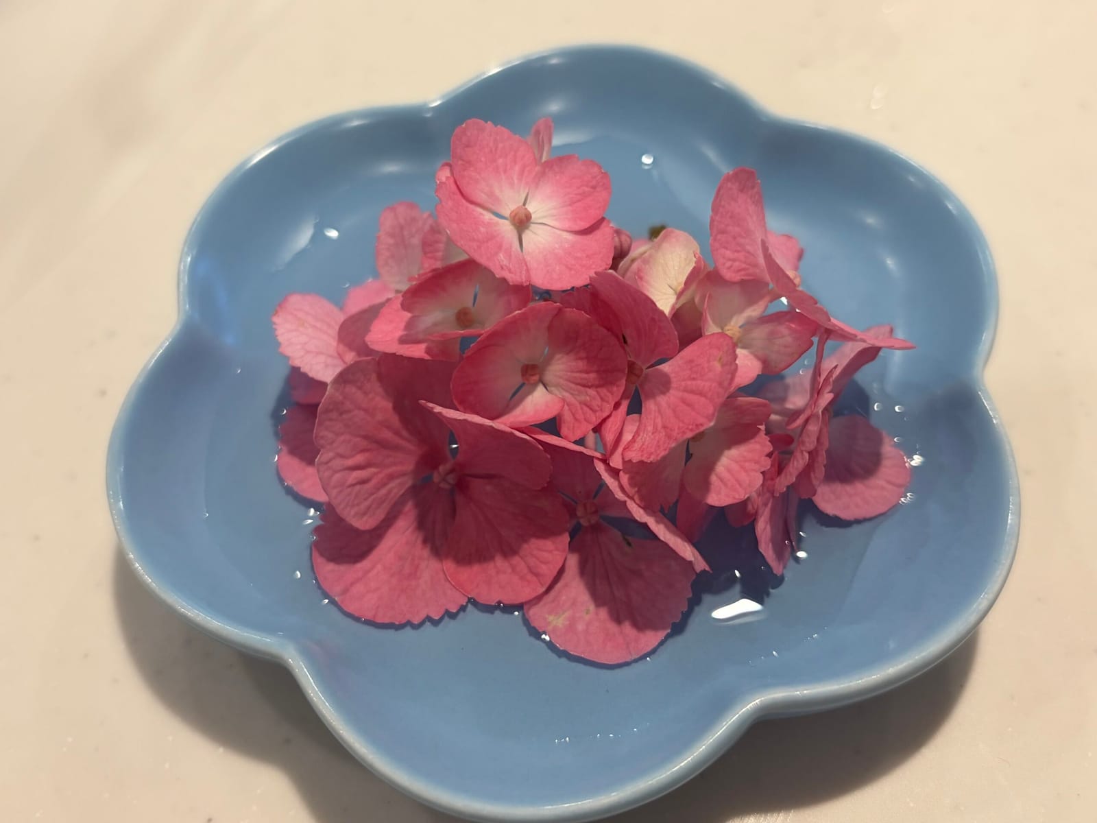作ってみたいものたち