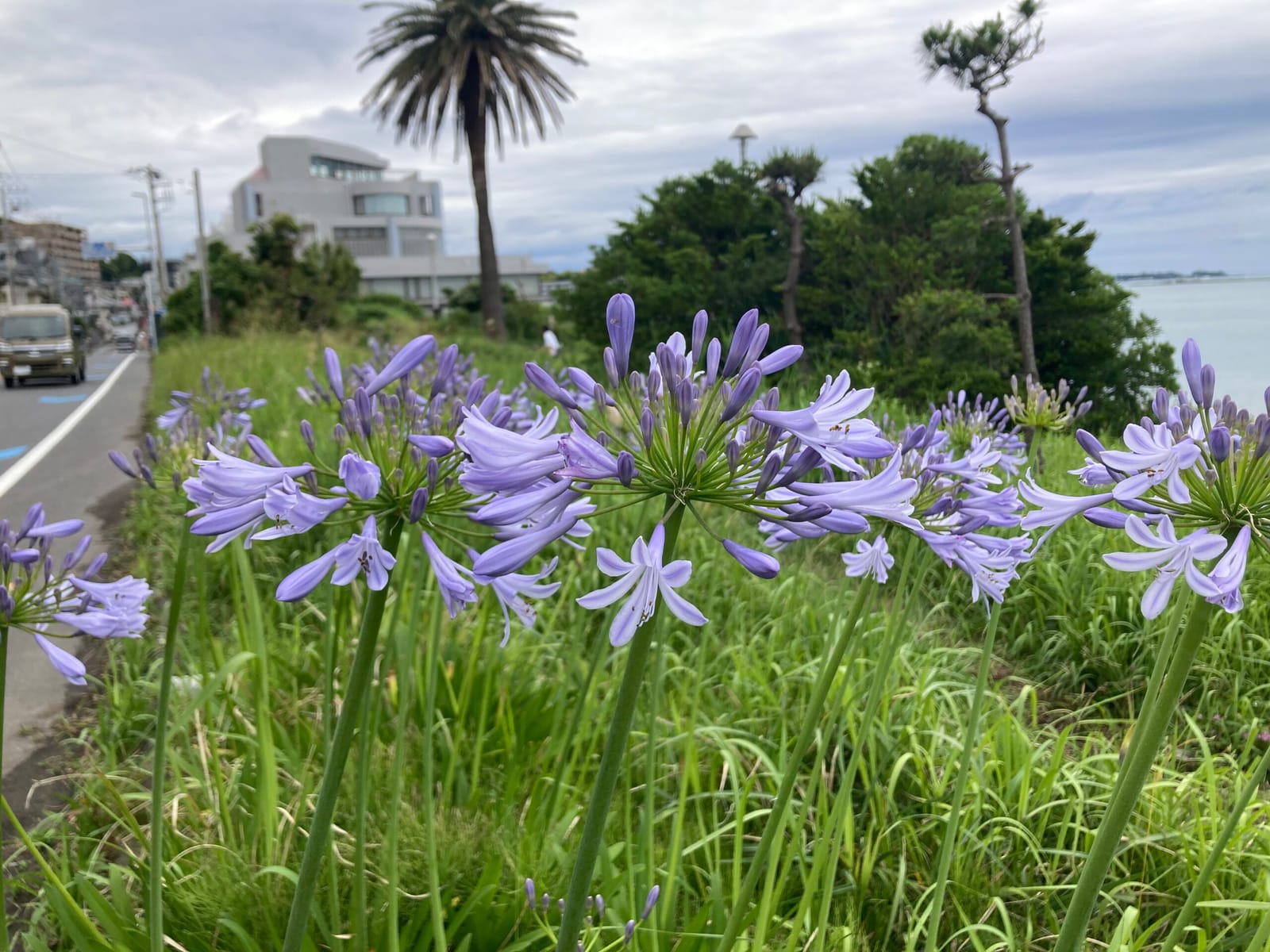 引き継ぎやあいさつ