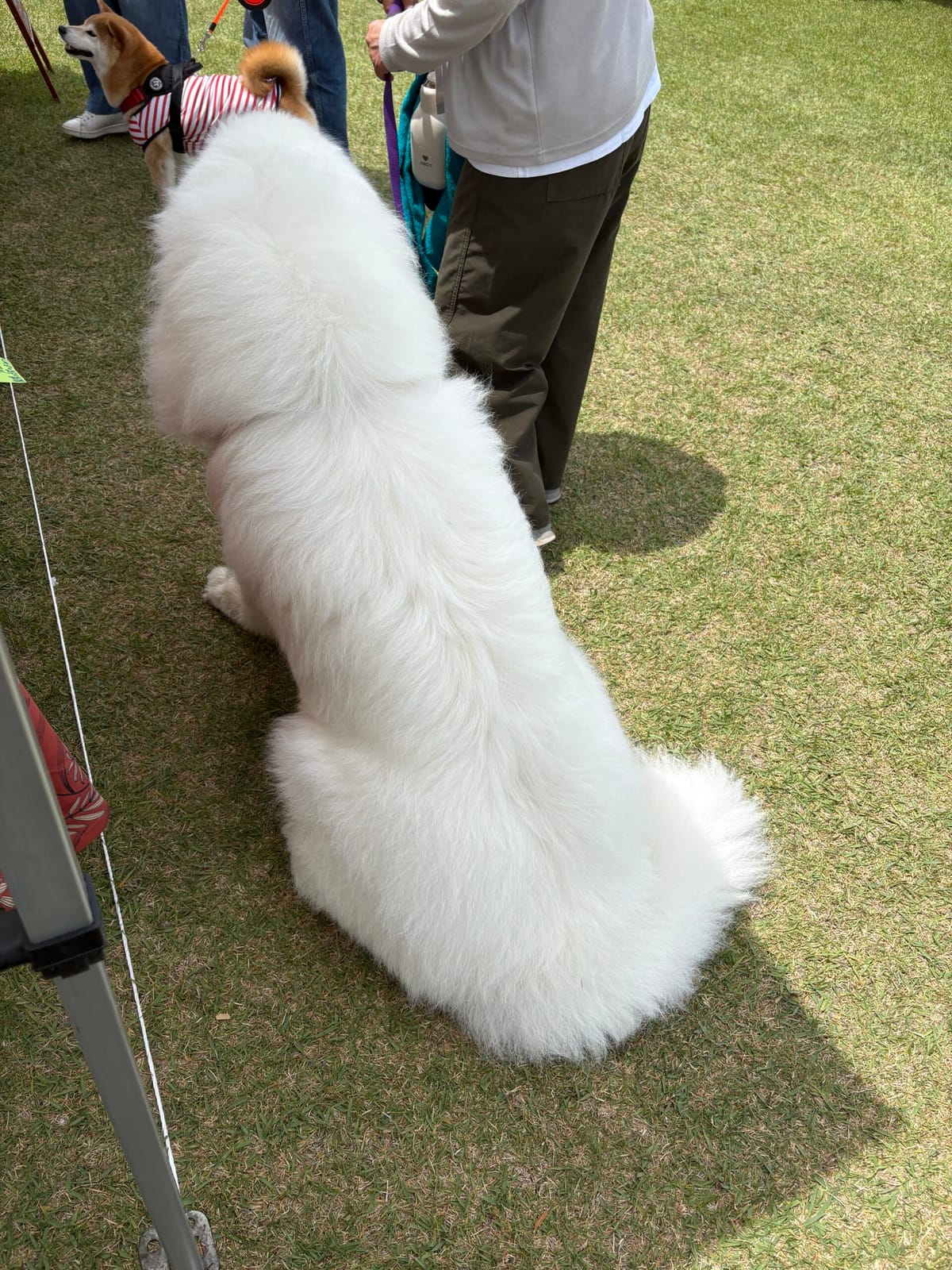 余裕なしの週明け