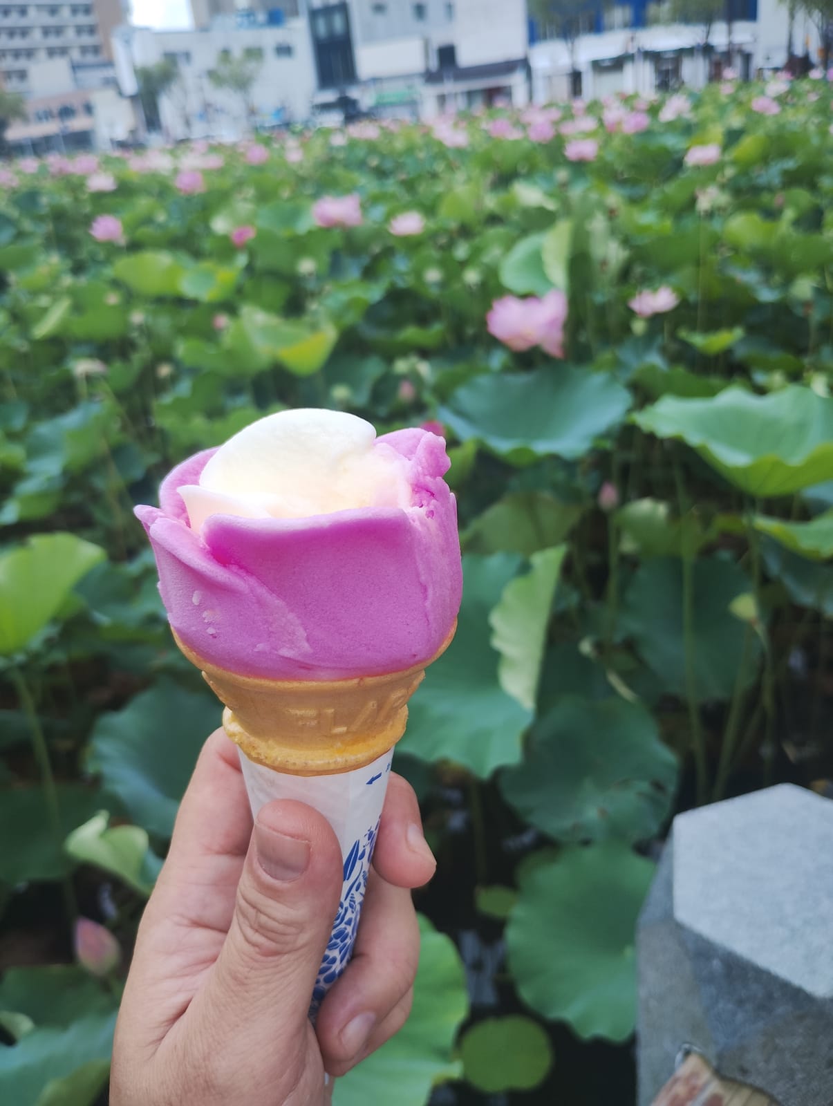 地元の味