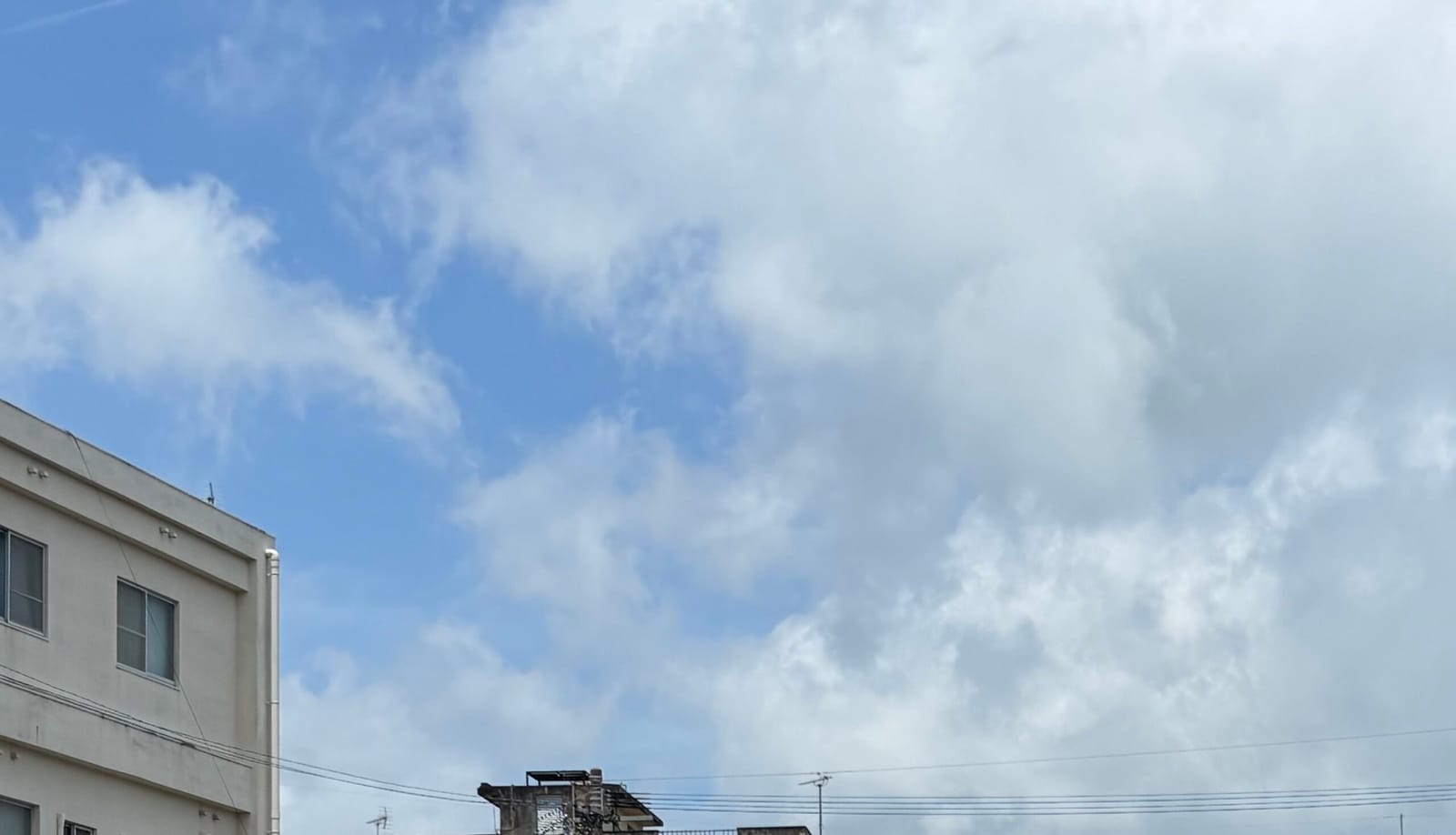 晴れ間と湿気