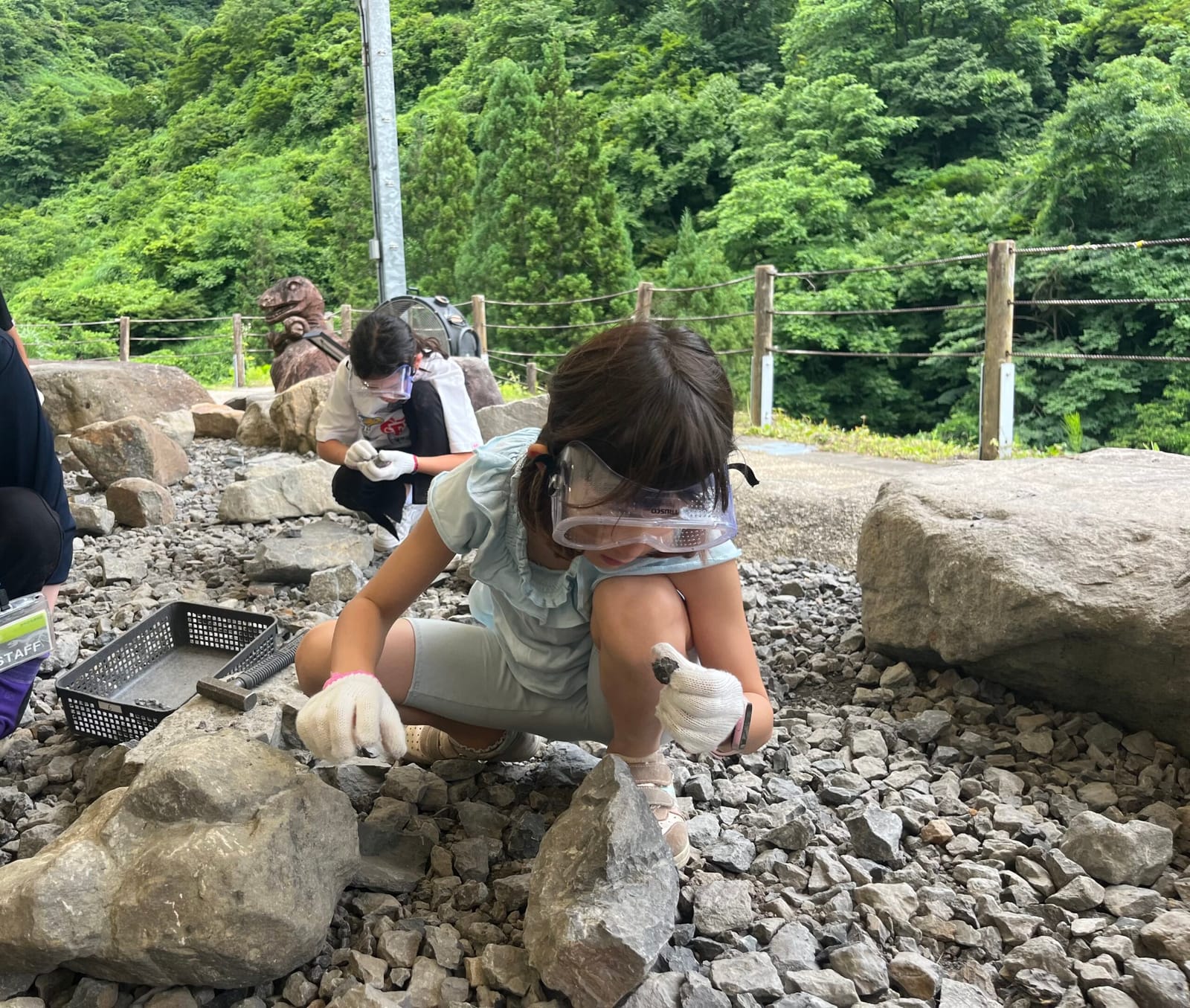 fossil research training