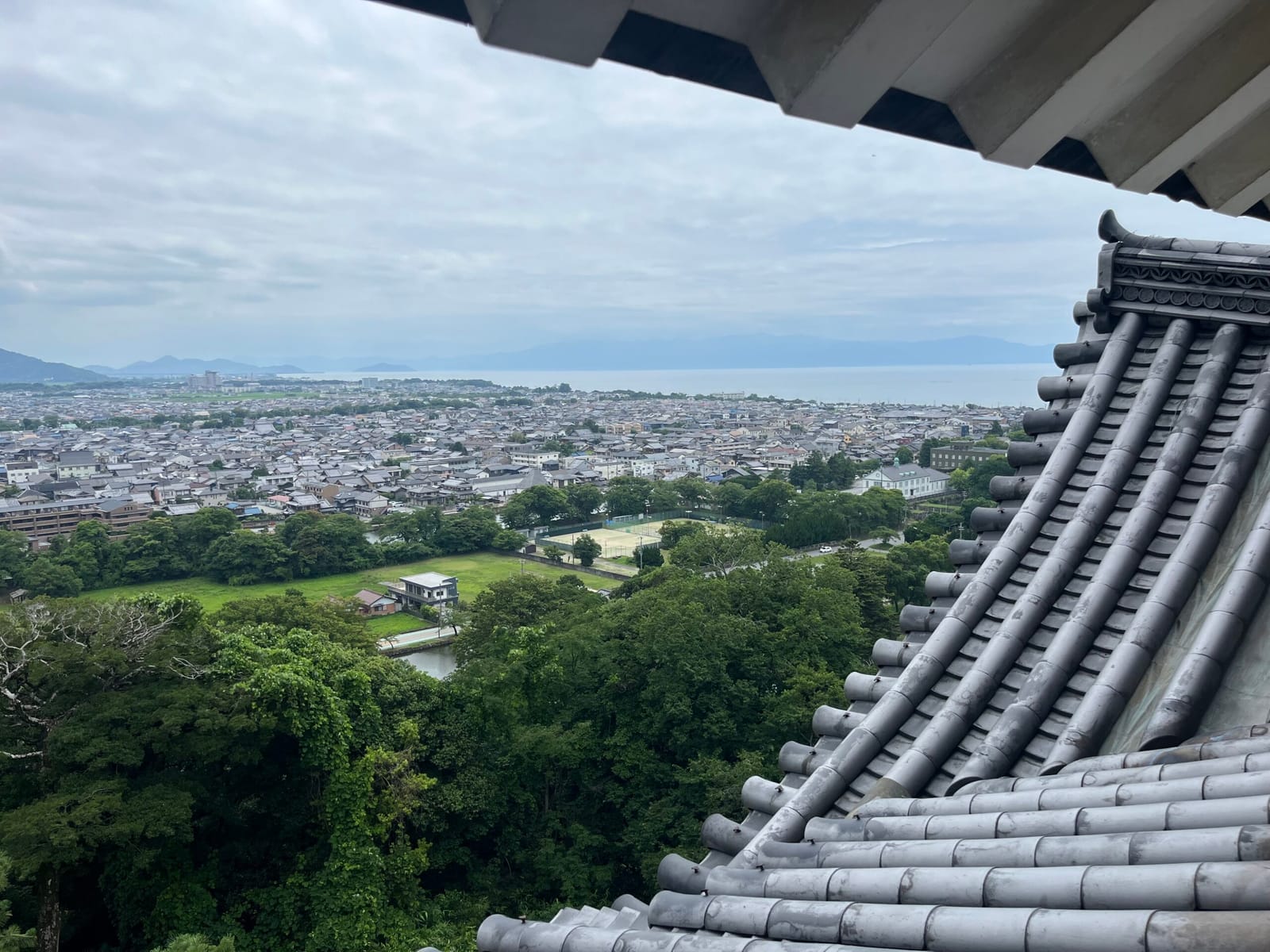 hikonyan