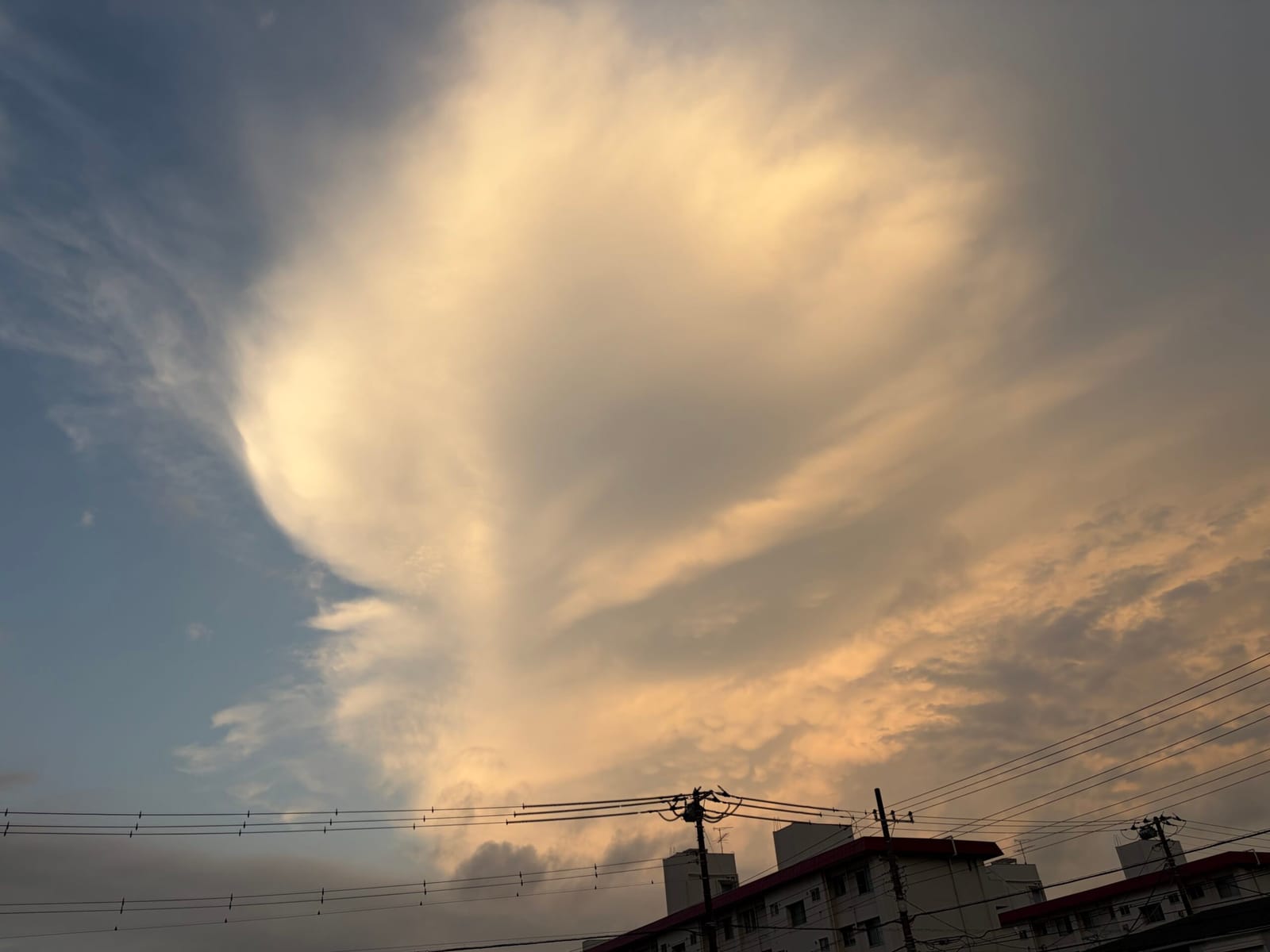 保育園の夕涼み会