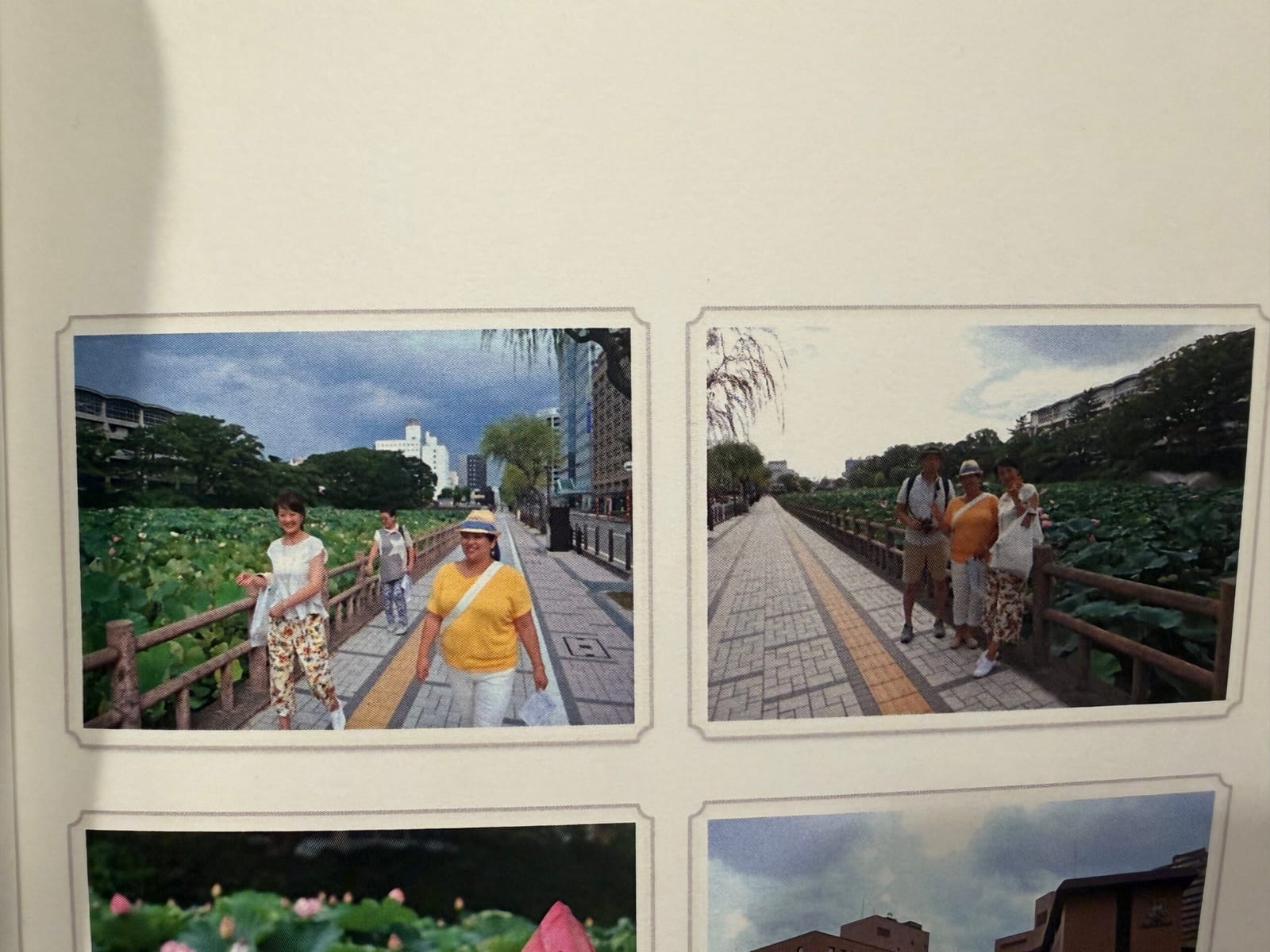 感情の層はミルフィーユのようにたくさん重なって欲しい