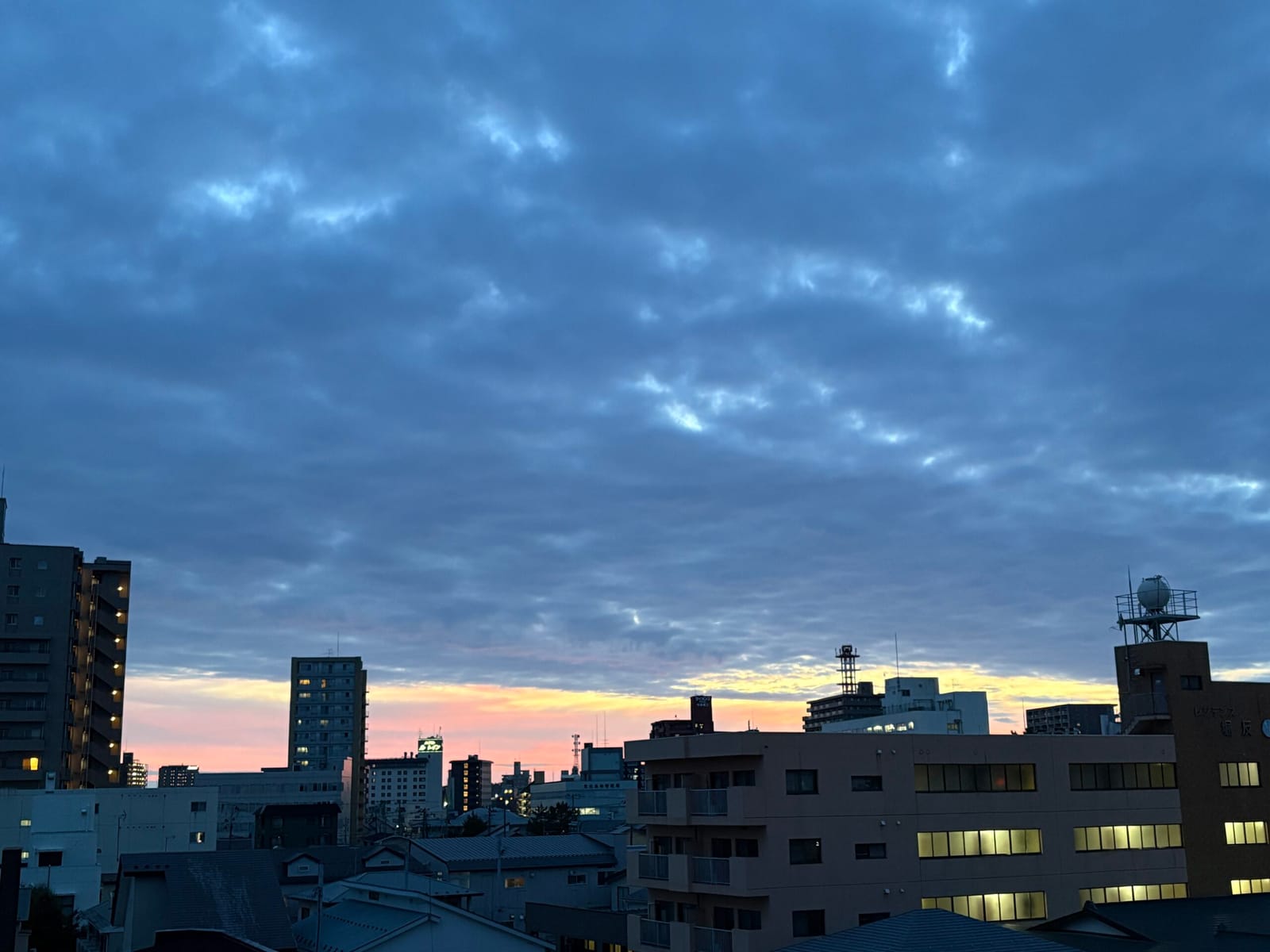 セミが泣いてる