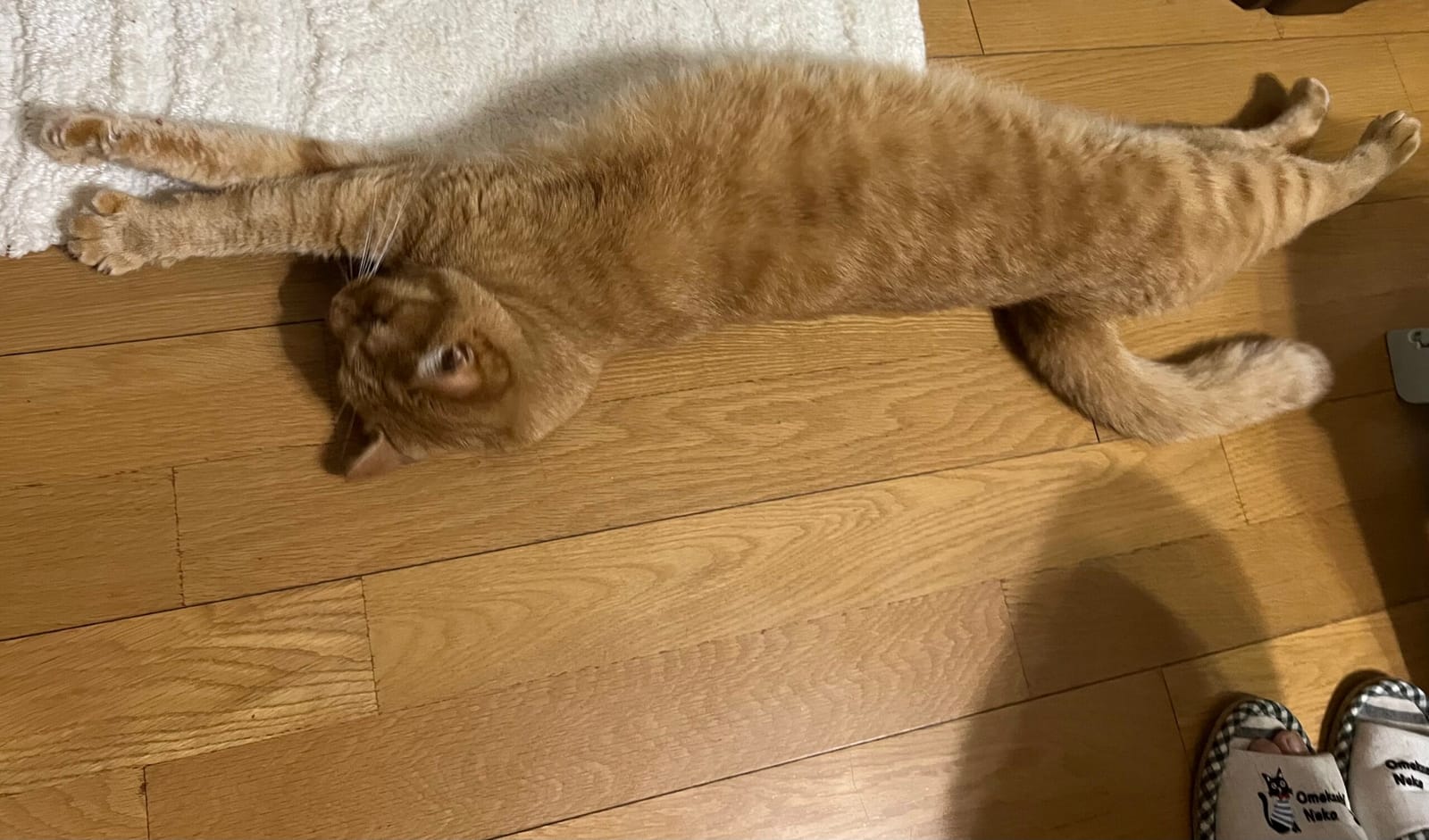 a lazy sunday