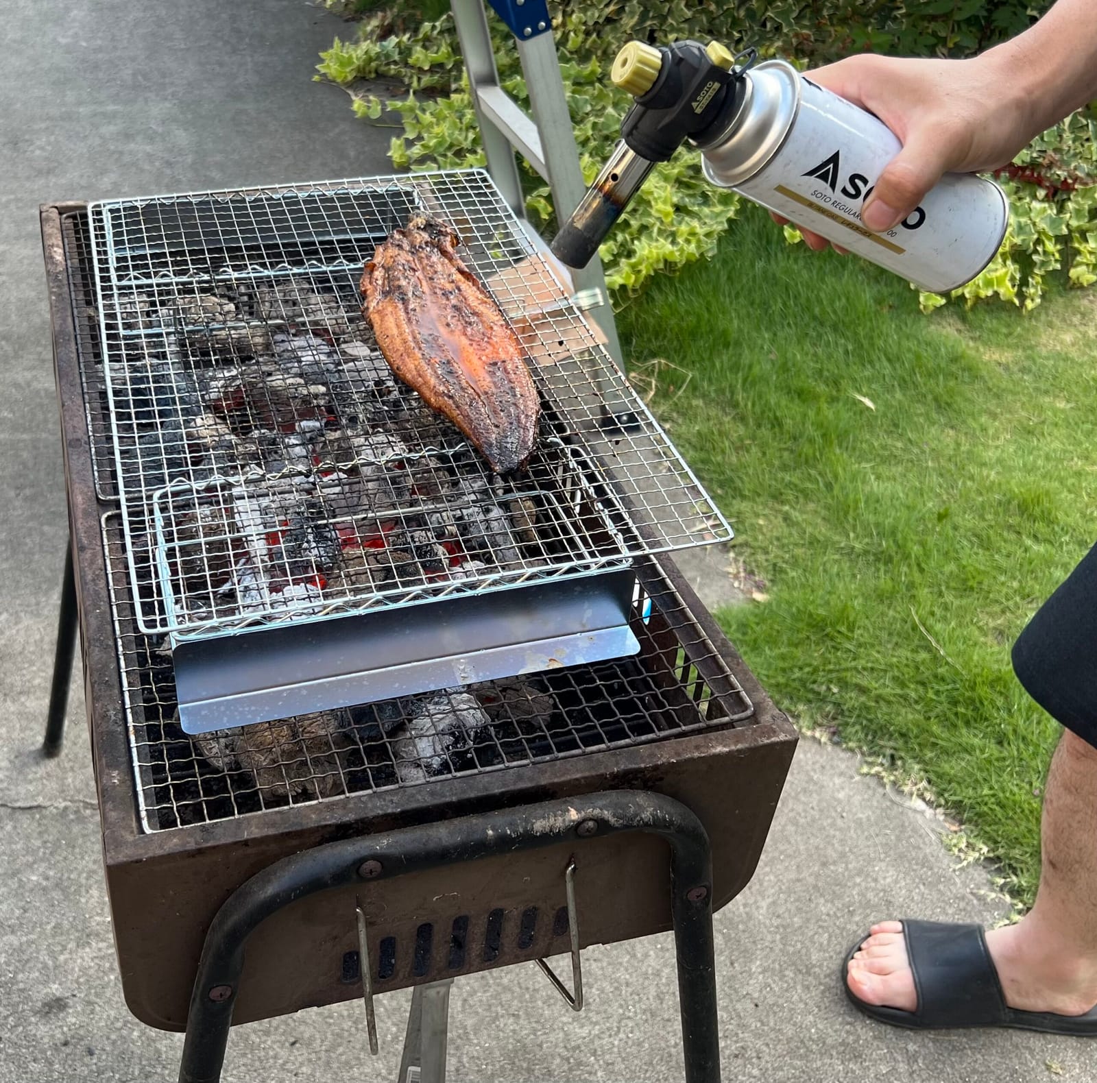 eel on the grill
