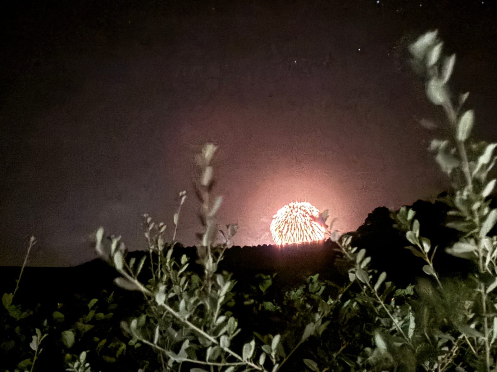 元気です