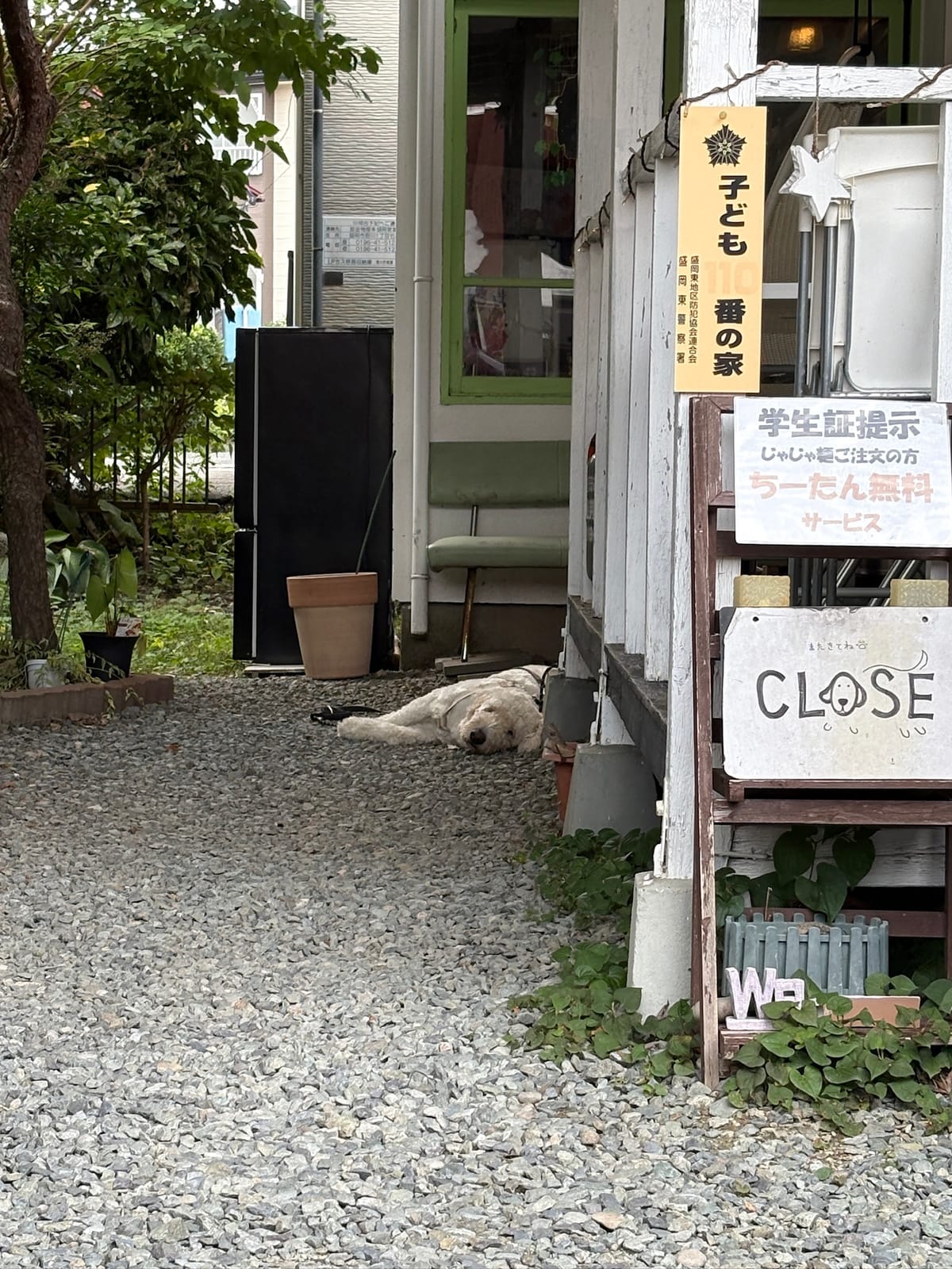 ちーたん文化