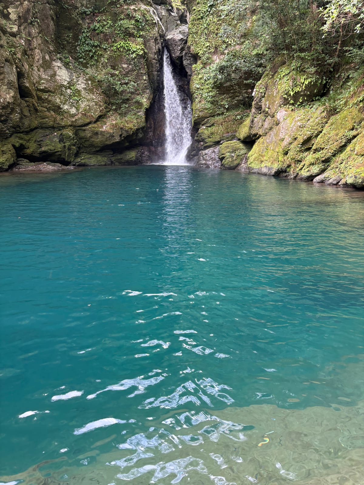NIYODO BLUE
