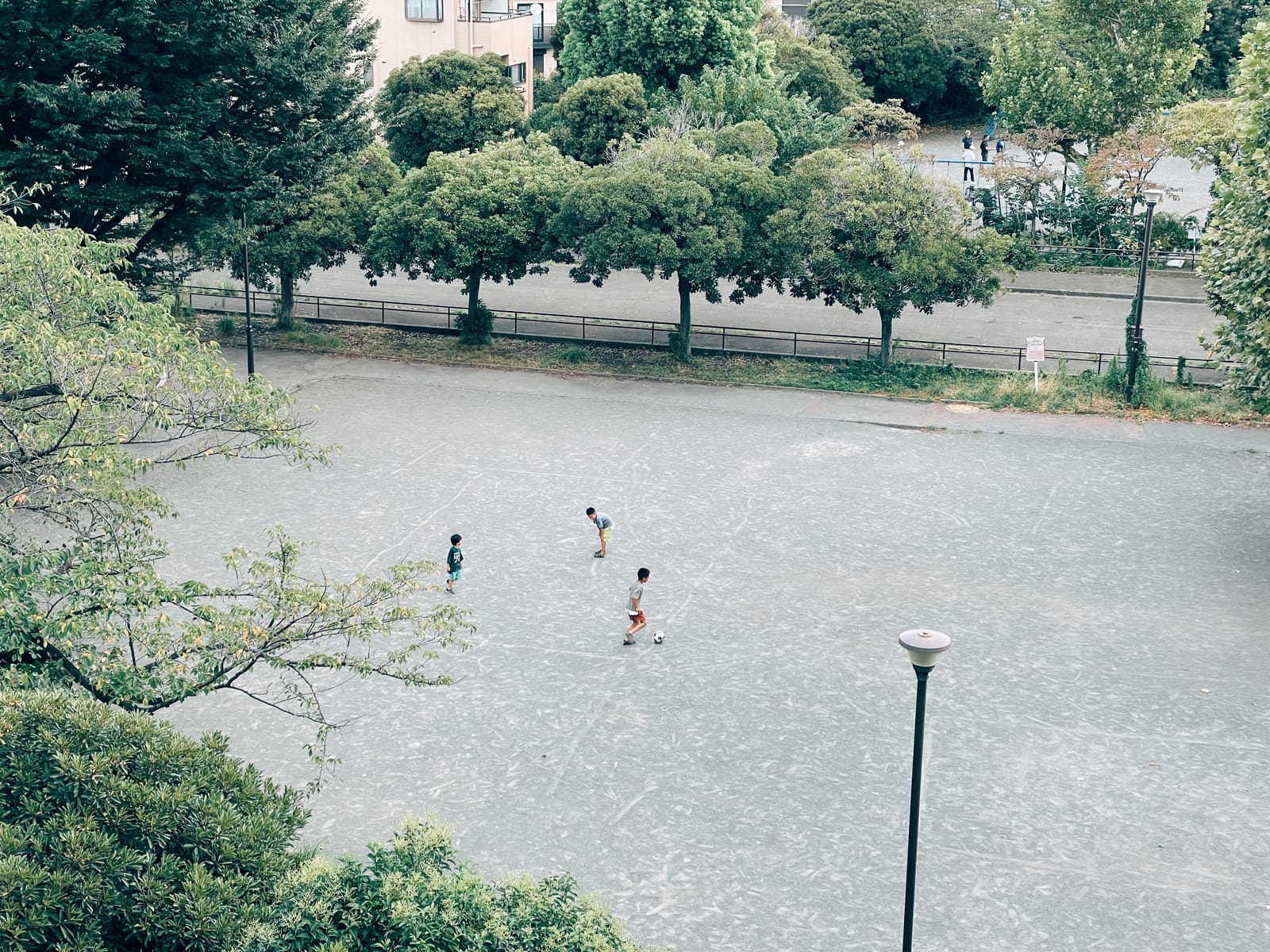 いつもの水曜のようでお盆