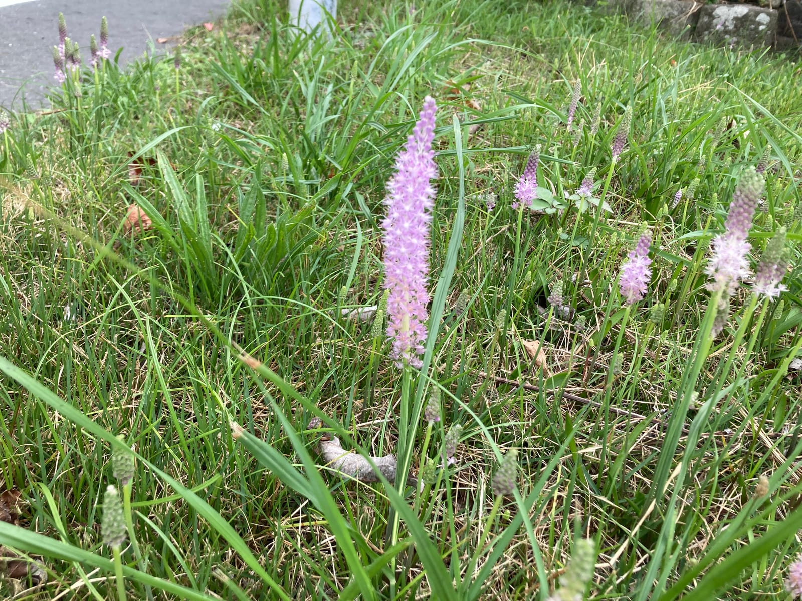 涼しい休日