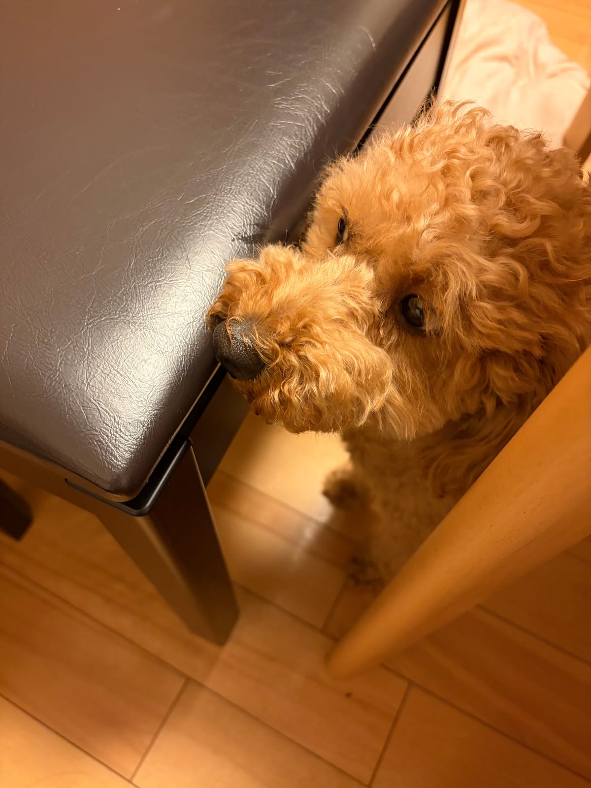 お料理が冷めない距離
