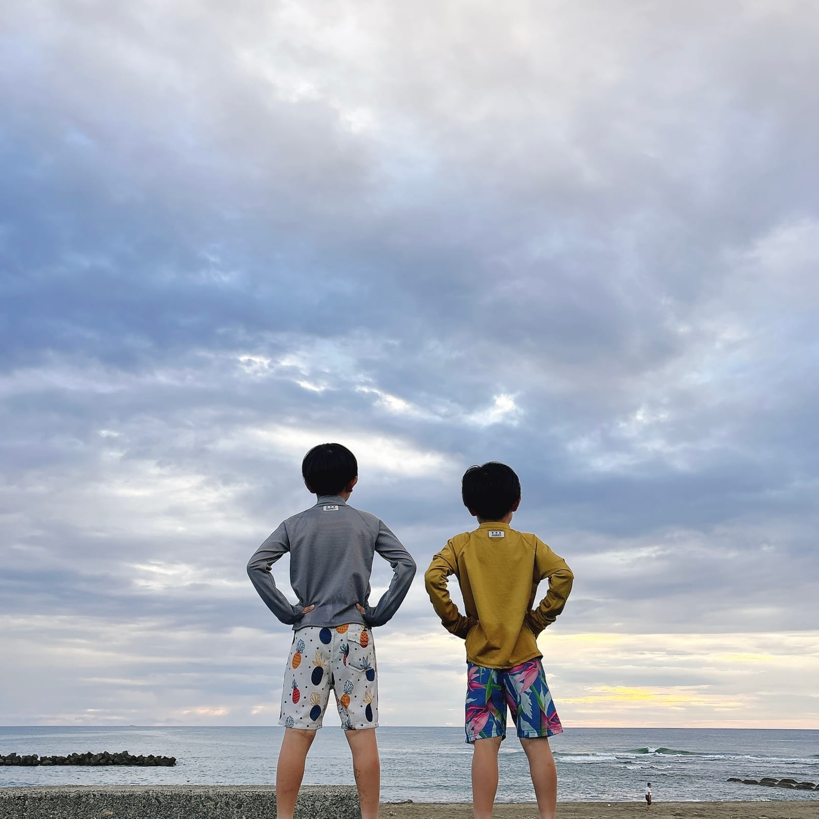 息子たち帰宅、夏の思い出