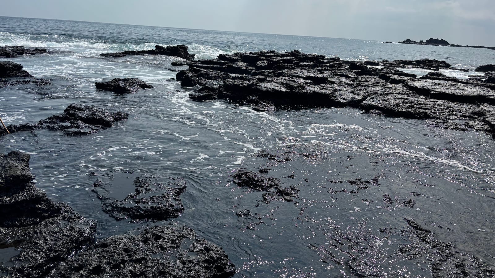 腹痛からの回復、エブリディ海