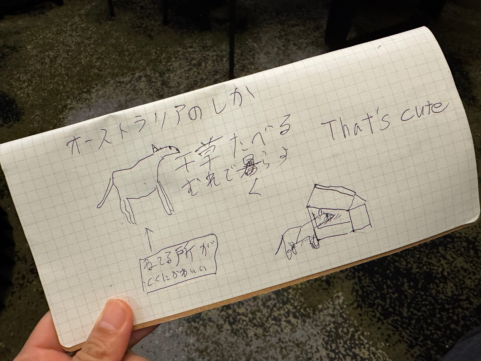 またひとつステージが変わる