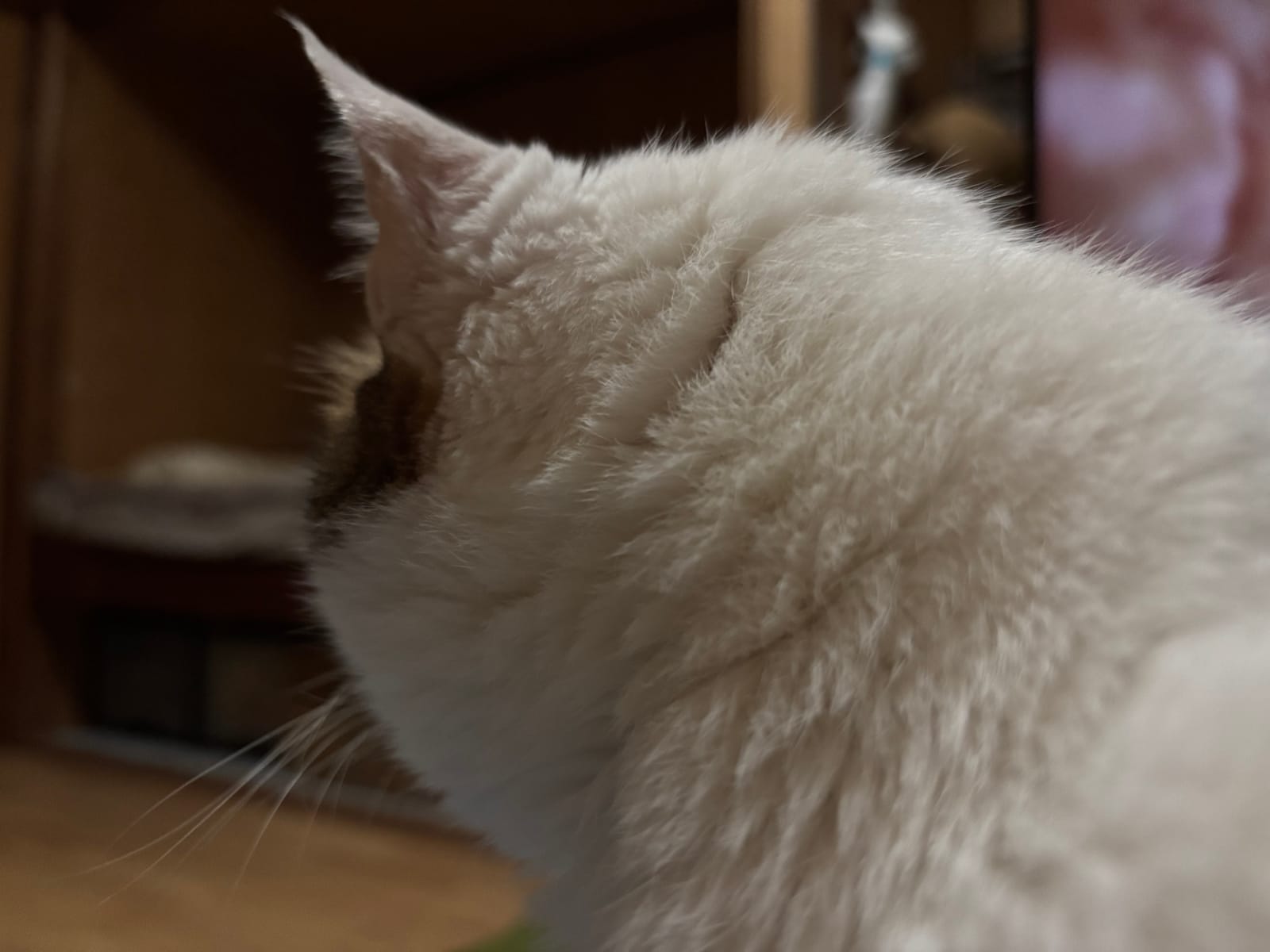 うれしや秋