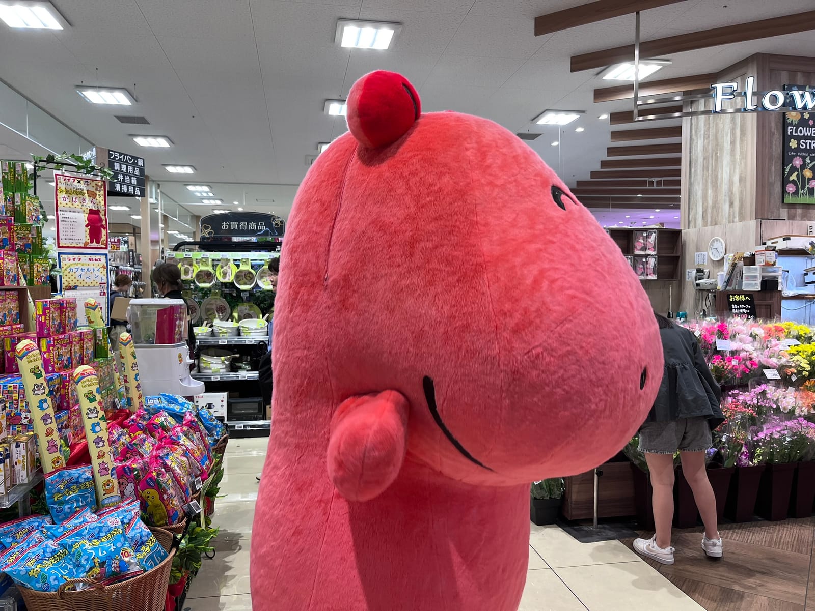 かばさんがやってきた