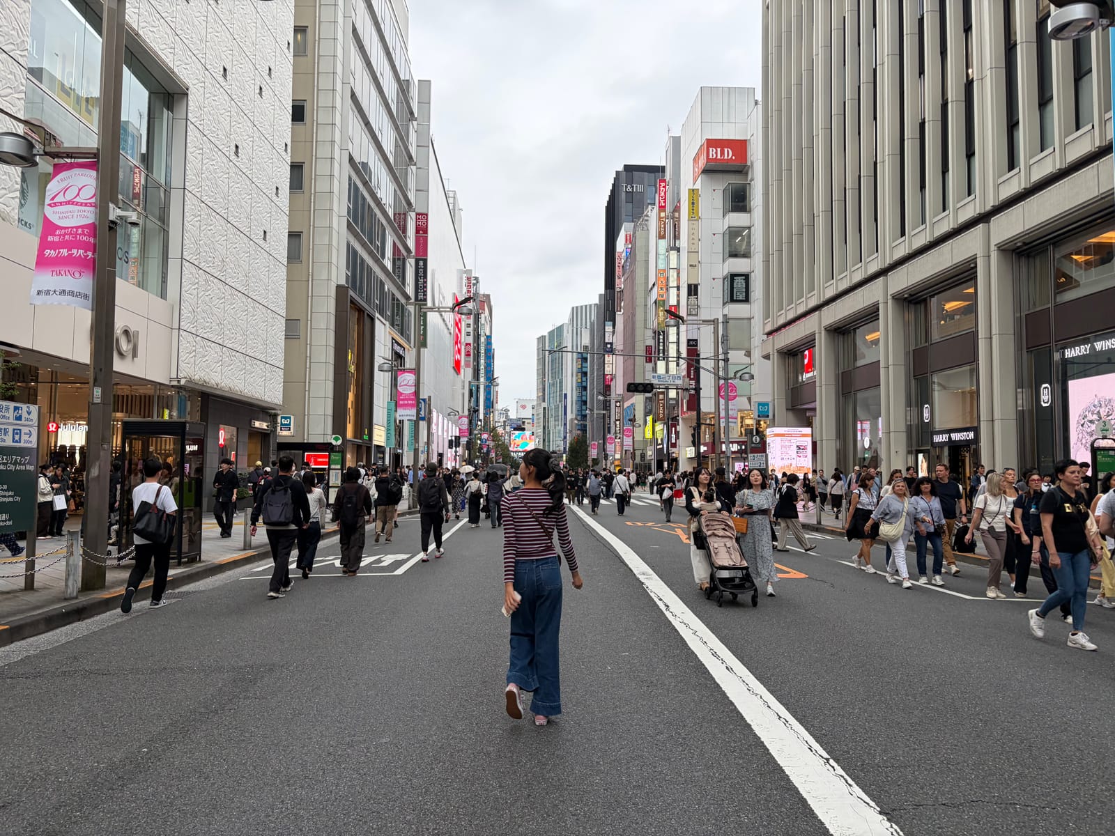 更新に行くよ