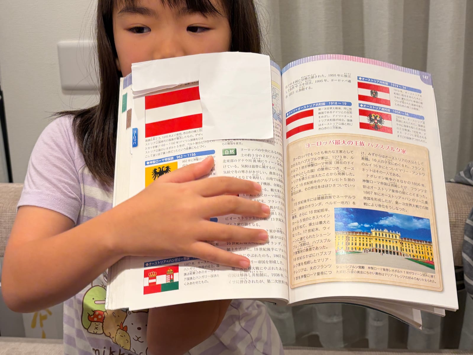 どこの国旗でしょうクイズ