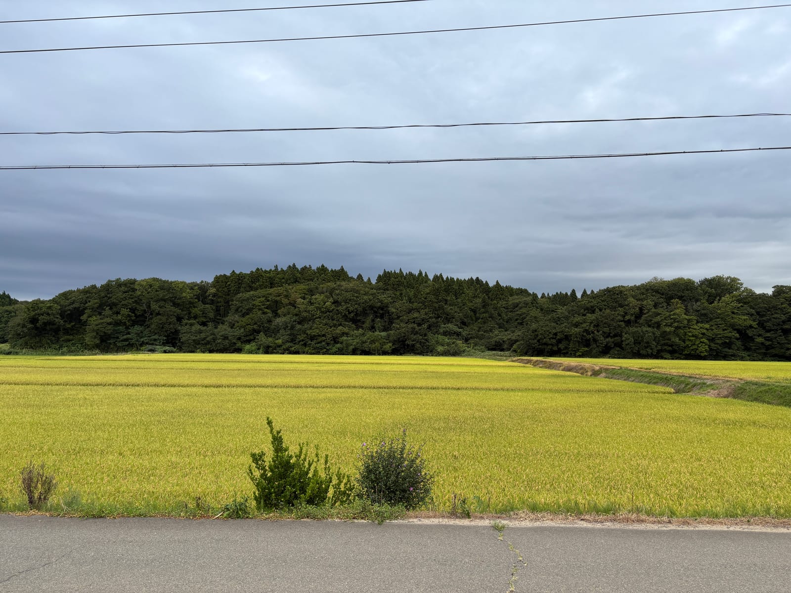 秋のはじまり