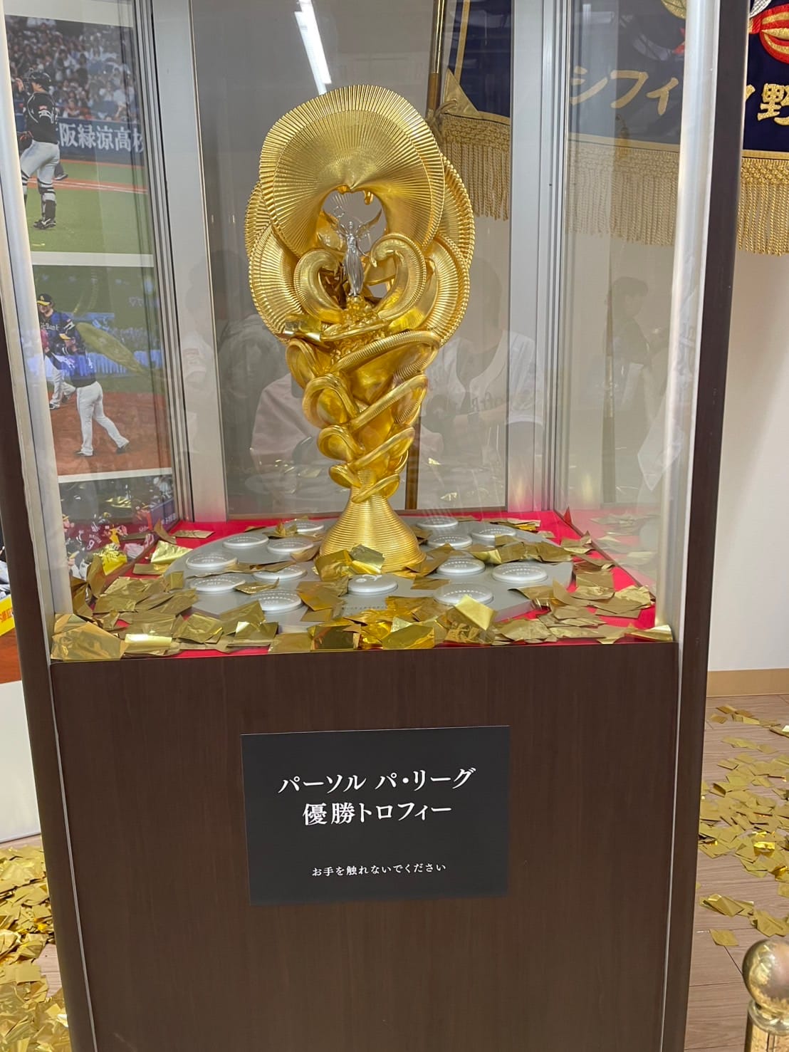 どっと疲れがでた土曜日