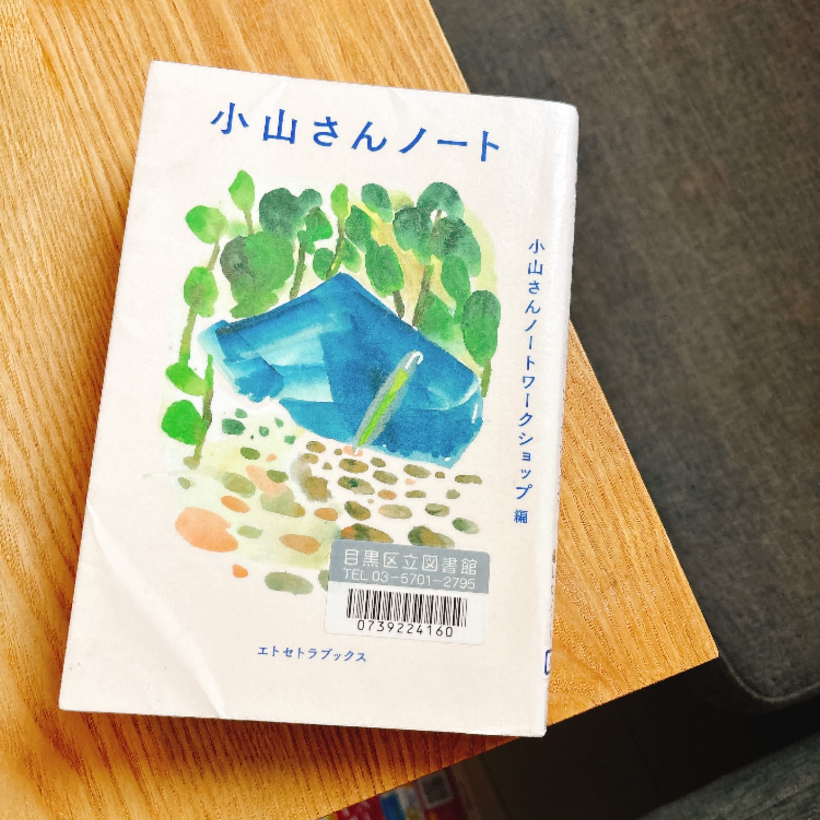 台風のもと読書