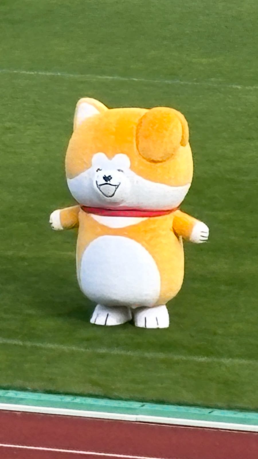 リレーマラソン