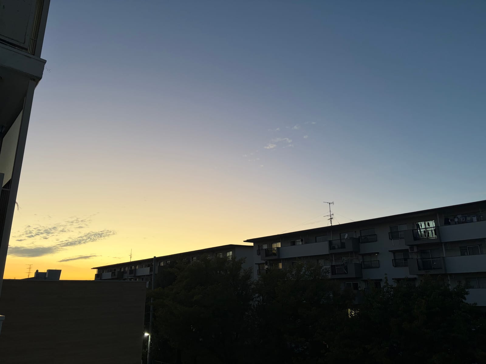 町たんけん（次女）引率