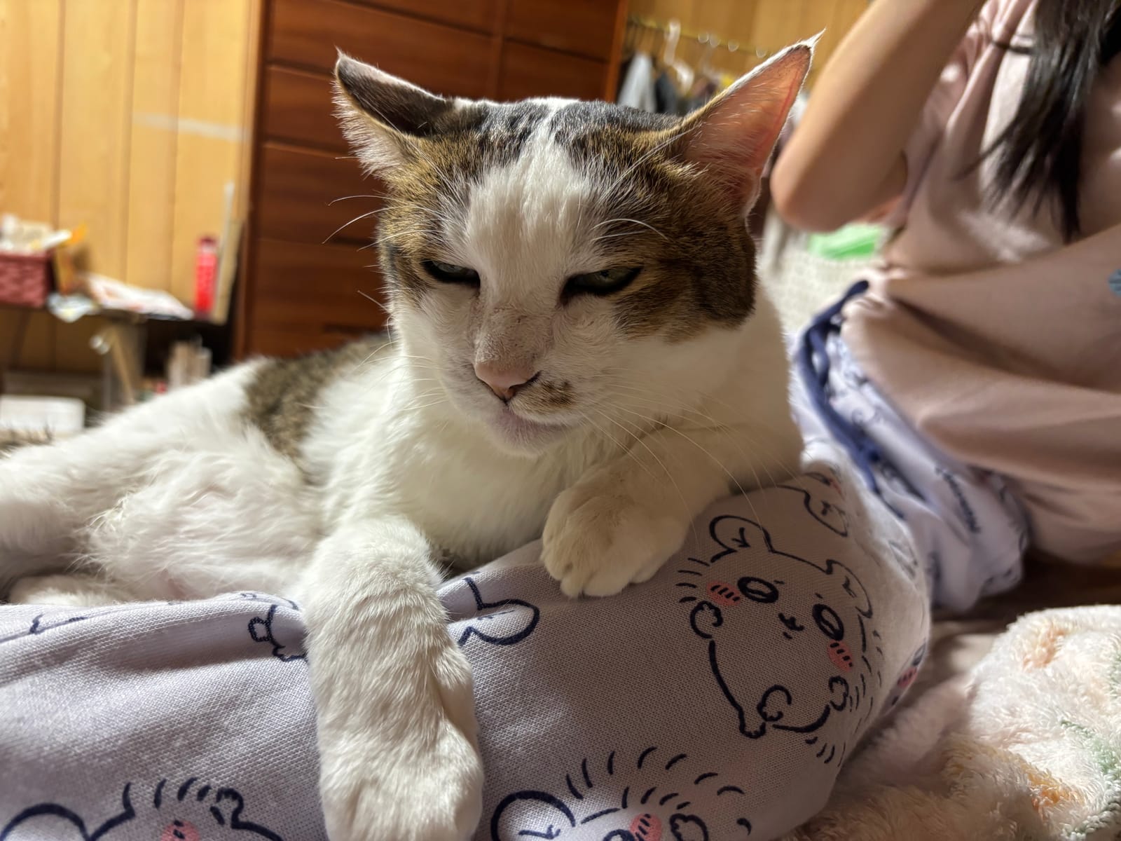 寄り添いながら