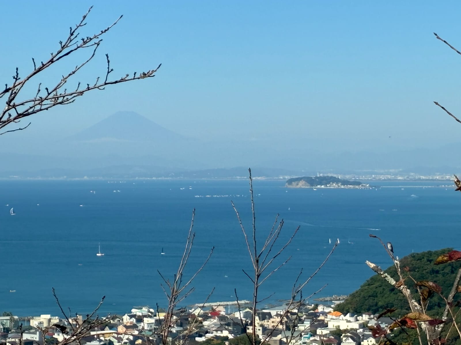 3日続けて仙元山