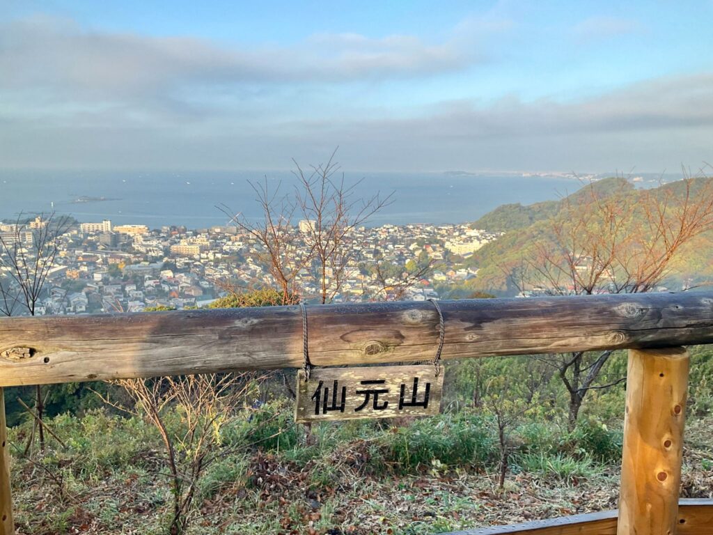 山の草刈り