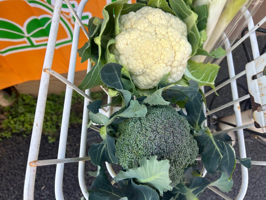 1月も今日で終わり