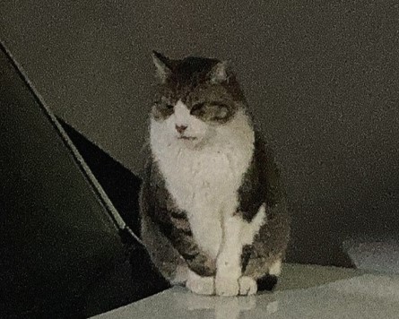 どっしり構えよ