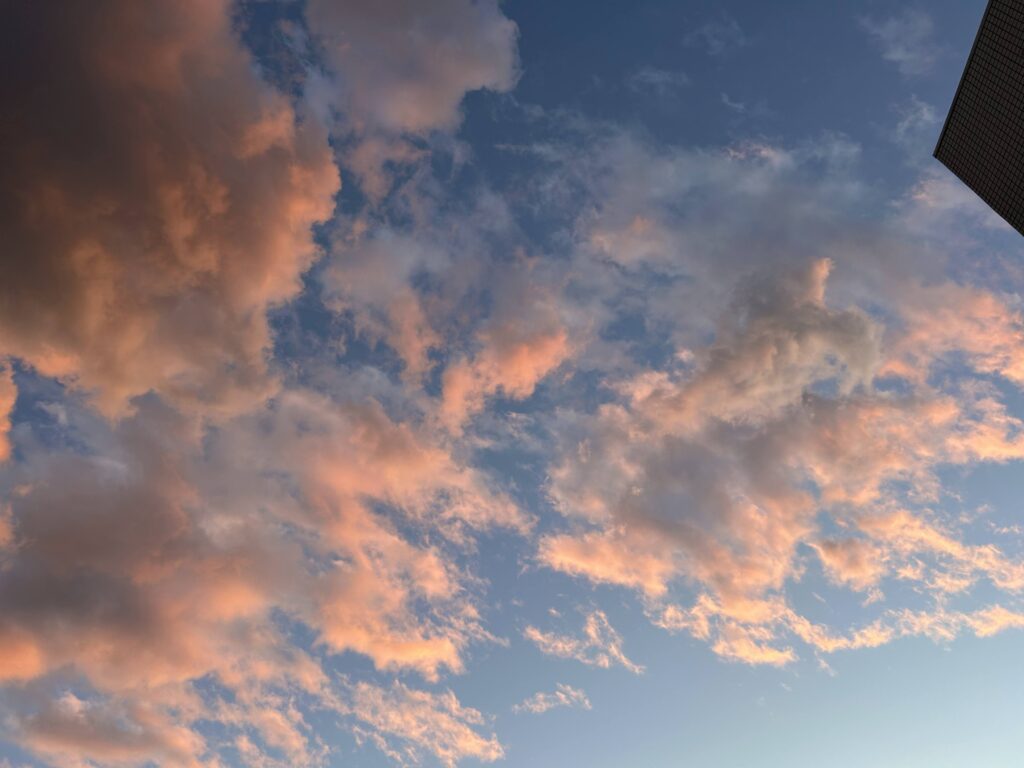 学校も始まり空に癒される
