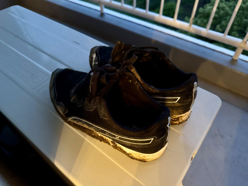 通った道がわかる有様